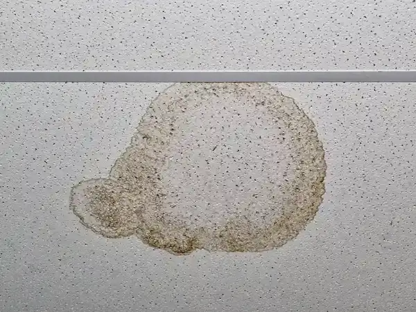 Water stain on commercial ceiling